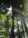 cabane