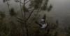 Pose dans le brouillard