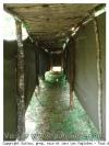 Tunnel