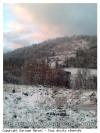 COL D'OSQUICH