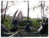 Pigeons