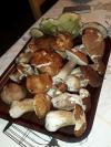 Champignons
