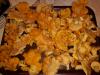 Champignons