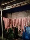 Saucisse