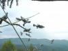 Volants