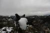 Neige