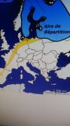 mouvement migration (repris sur le site)
