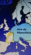 mouvement migration (repris sur le site)