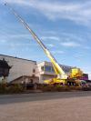 Grue