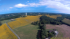 Tournesols