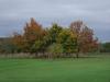 Couleurs automnales