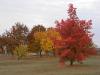 Couleurs d'Automne