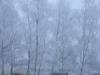 Ca caille ce matin