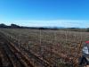 Vu sur les Albères
