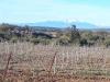 Vue sur le canigou