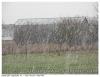 Neige à 12 h