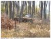 Cabane