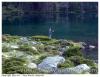 Lac d'aumar
