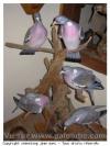 Sculptures