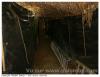 Inter tunel