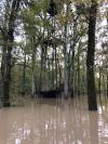 Inondations
