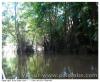 Fleuve de Guyane