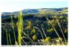 Automne;-)