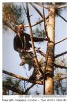 Montage d'appaut