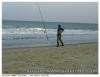 Calicoba24