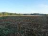 180° foret de mouliere