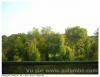 Vue sud