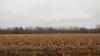 Palombes sur Sologne