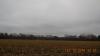 palombes en sologne