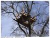 Cabane 3 branch