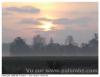 Paysage