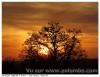 Crépuscule