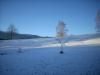neige