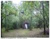 Cabane