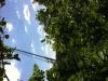 pour faire 1 saut a l elastique