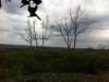 arbre de pose