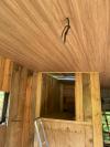 Cabane