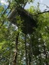 Cabane