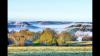 Belle l'Auvergne