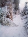 Paysage