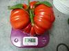 tomate