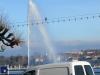 PALOMBE SUISSE