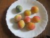 Belles et bonnes prunes