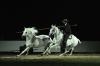 Equestria TARBES