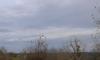 hivernante