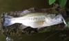 bass